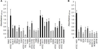 Characterization of Binary Biofilms of Listeria monocytogenes and Lactobacillus and Their Response to Chlorine Treatment